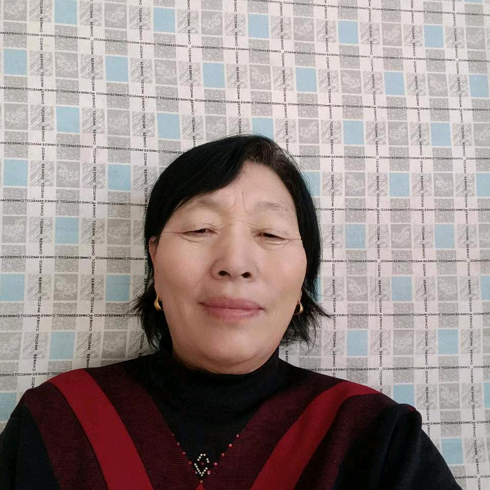 傻瓜老太