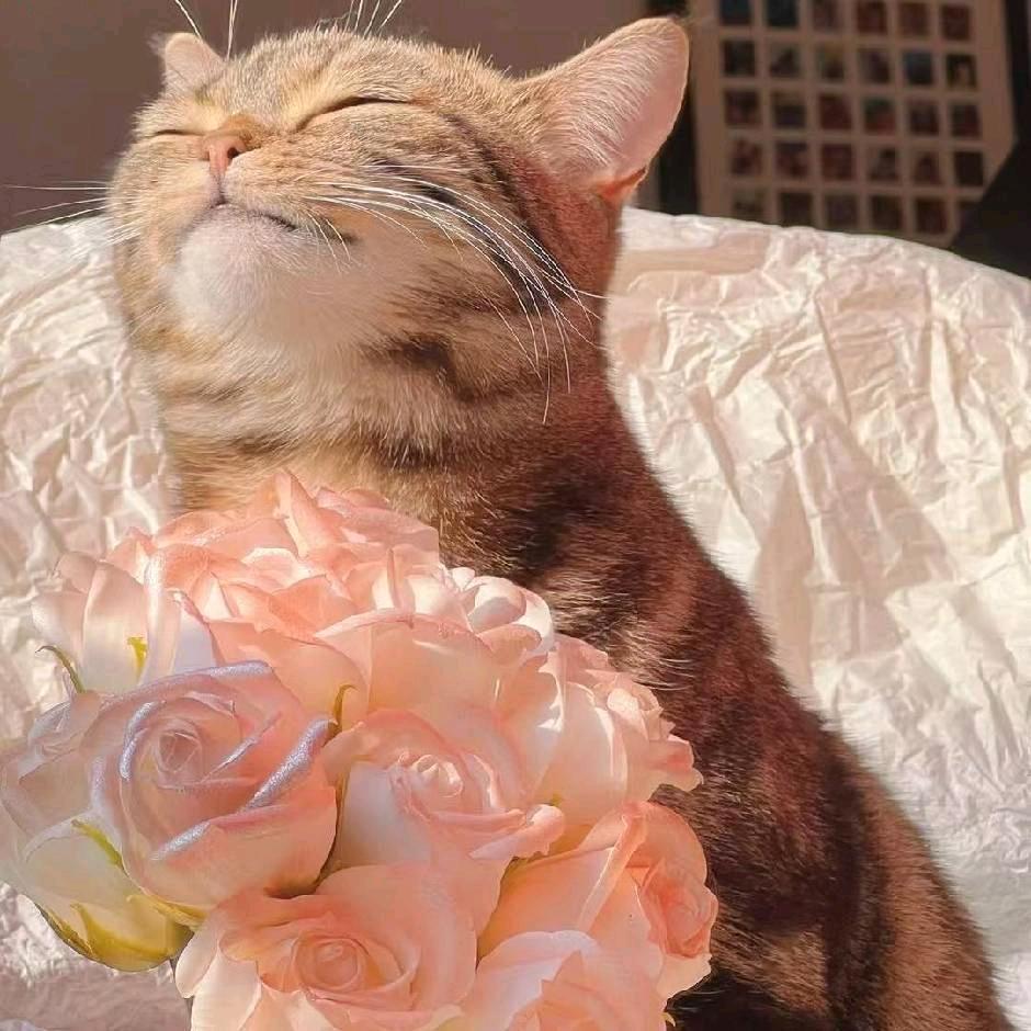 花材里象