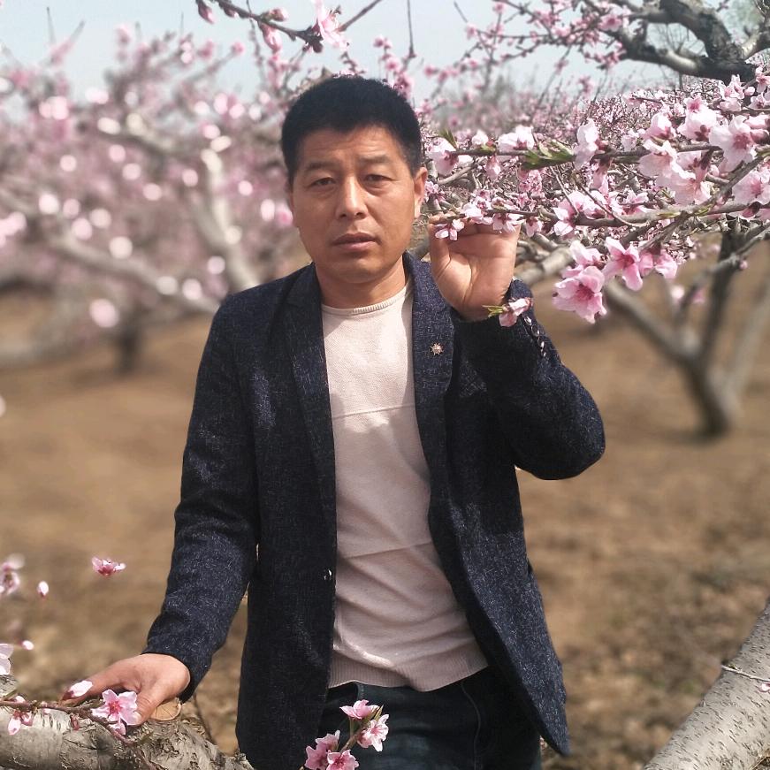 饿狼回头，穷游全国