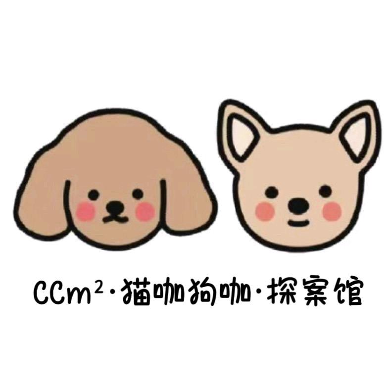 CCm²探案娱乐馆
