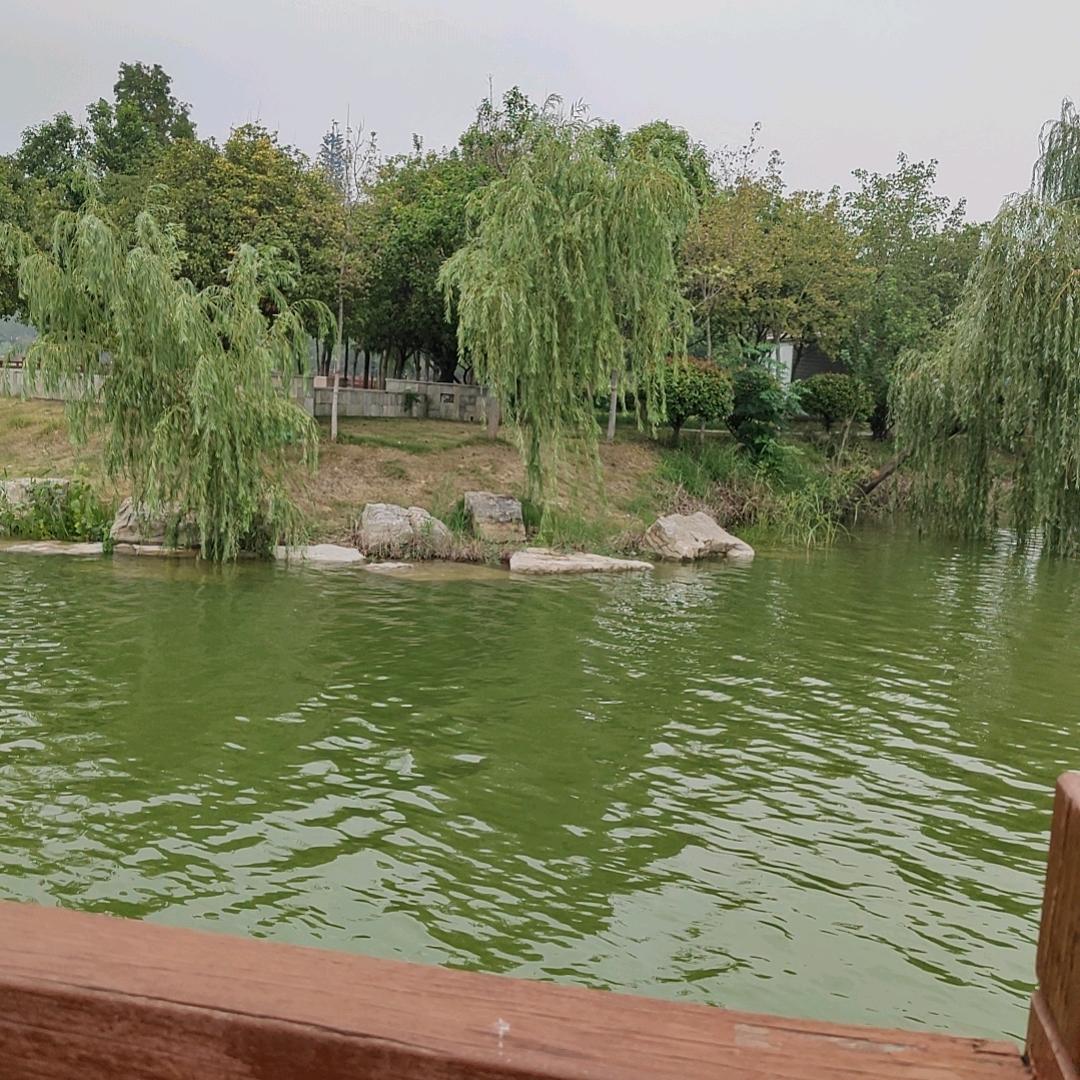 快乐的姥姥和姥爷