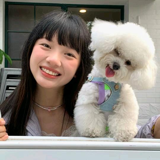 擺犤襬犤