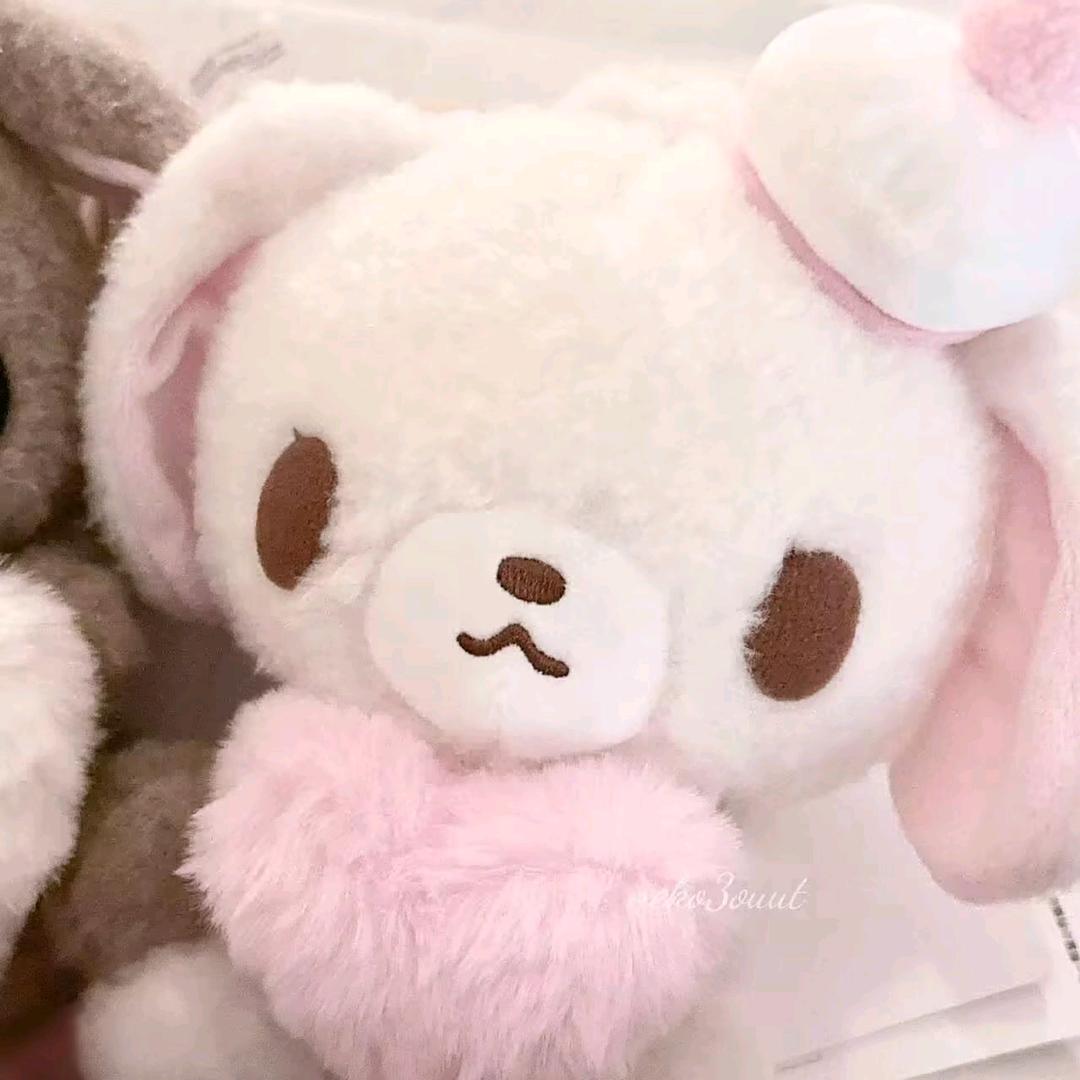 谁是龙龙控