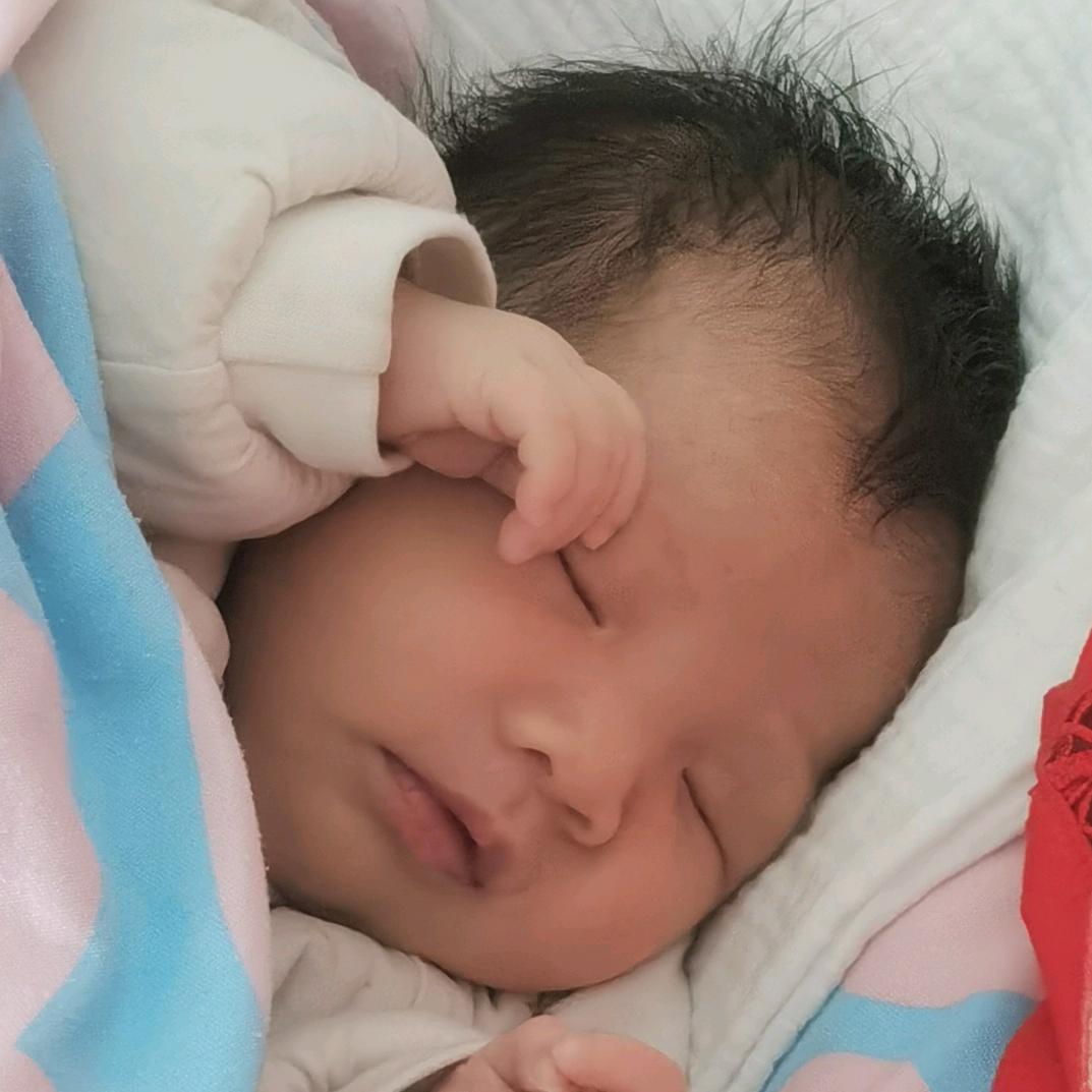 李羽