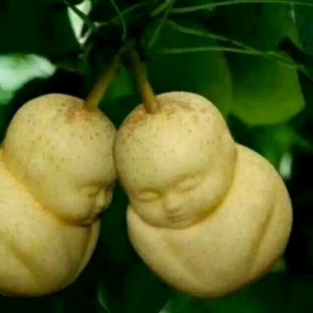 懂你！