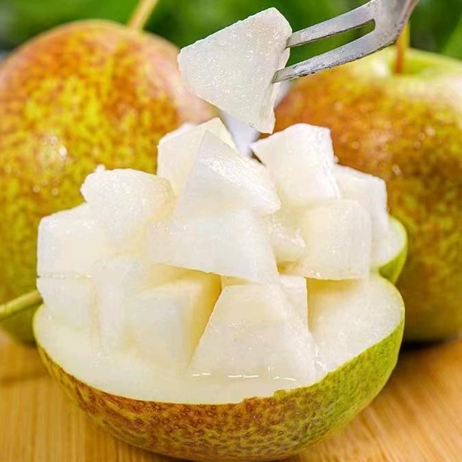 小员商贸行批发