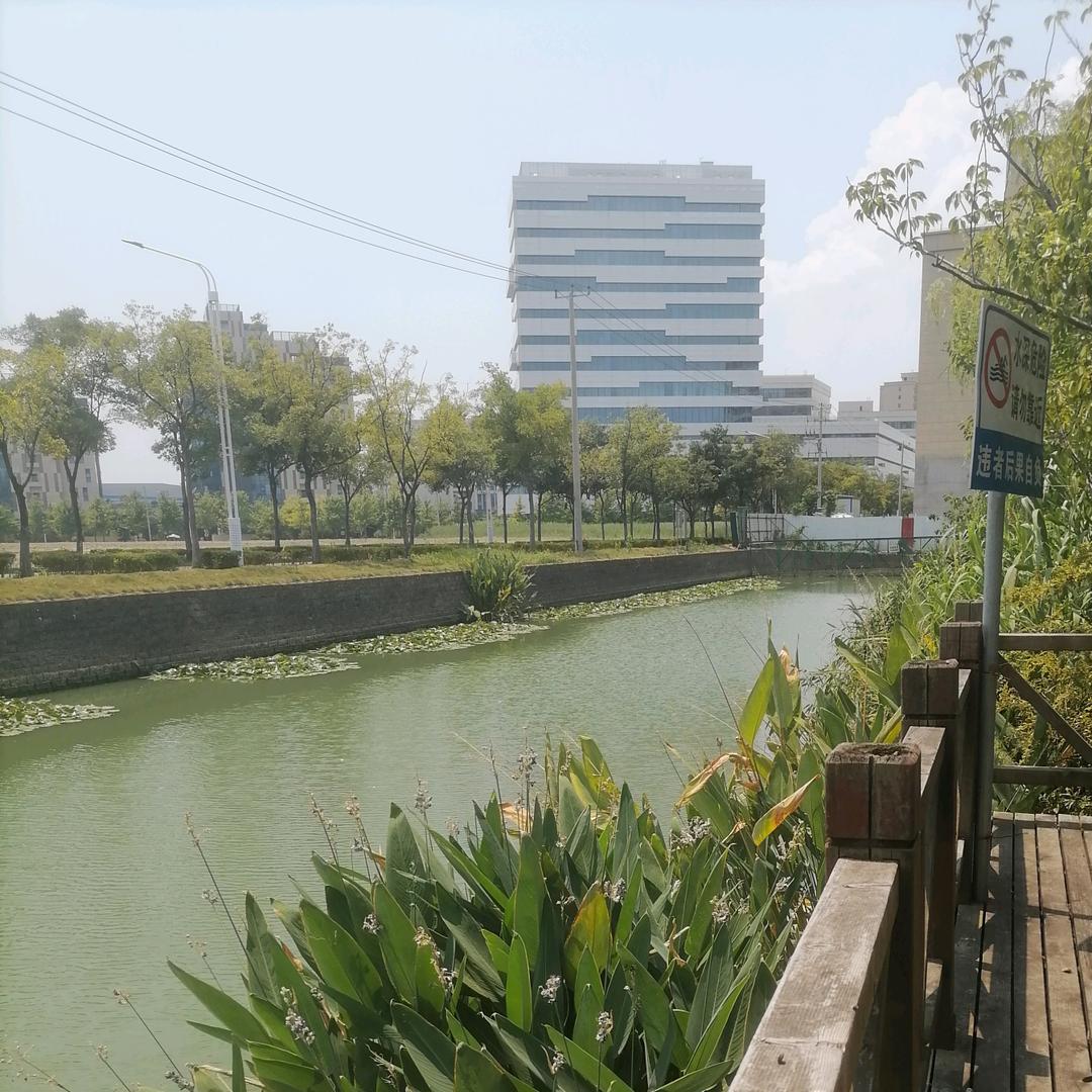 我是向前