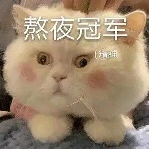 : ꦿ໊咖啡加糖ꦿ໊🥤