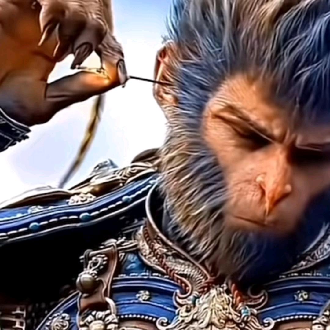 满山的猴子我腚最红