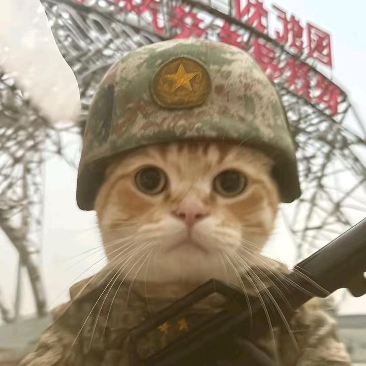 龙三