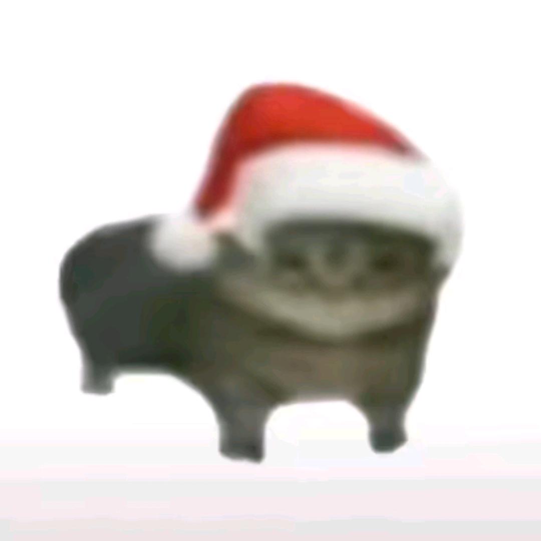 𝙉𝙪𝙢𝙗𝙚𝙧 𝙤𝙣𝙚❄