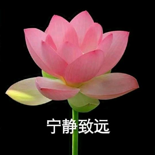 明天会更好