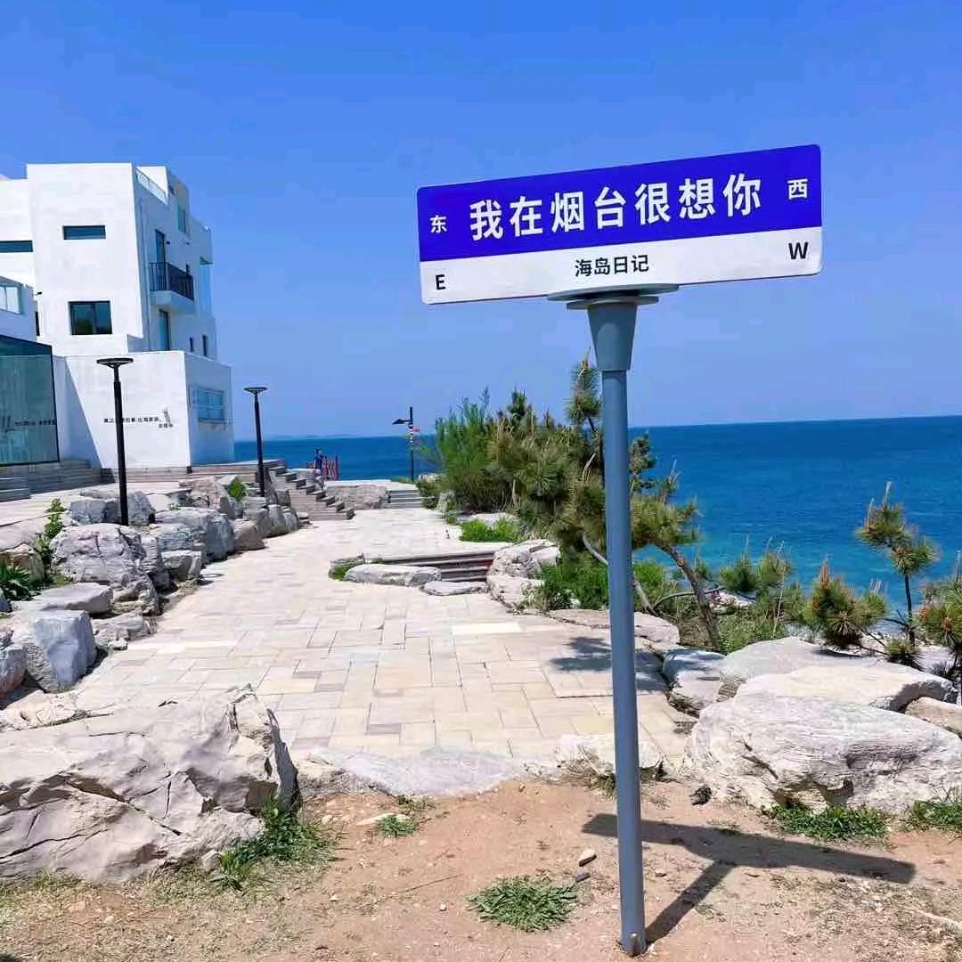 从你全世界路过