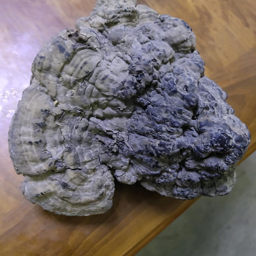 蒋老四9193765302127