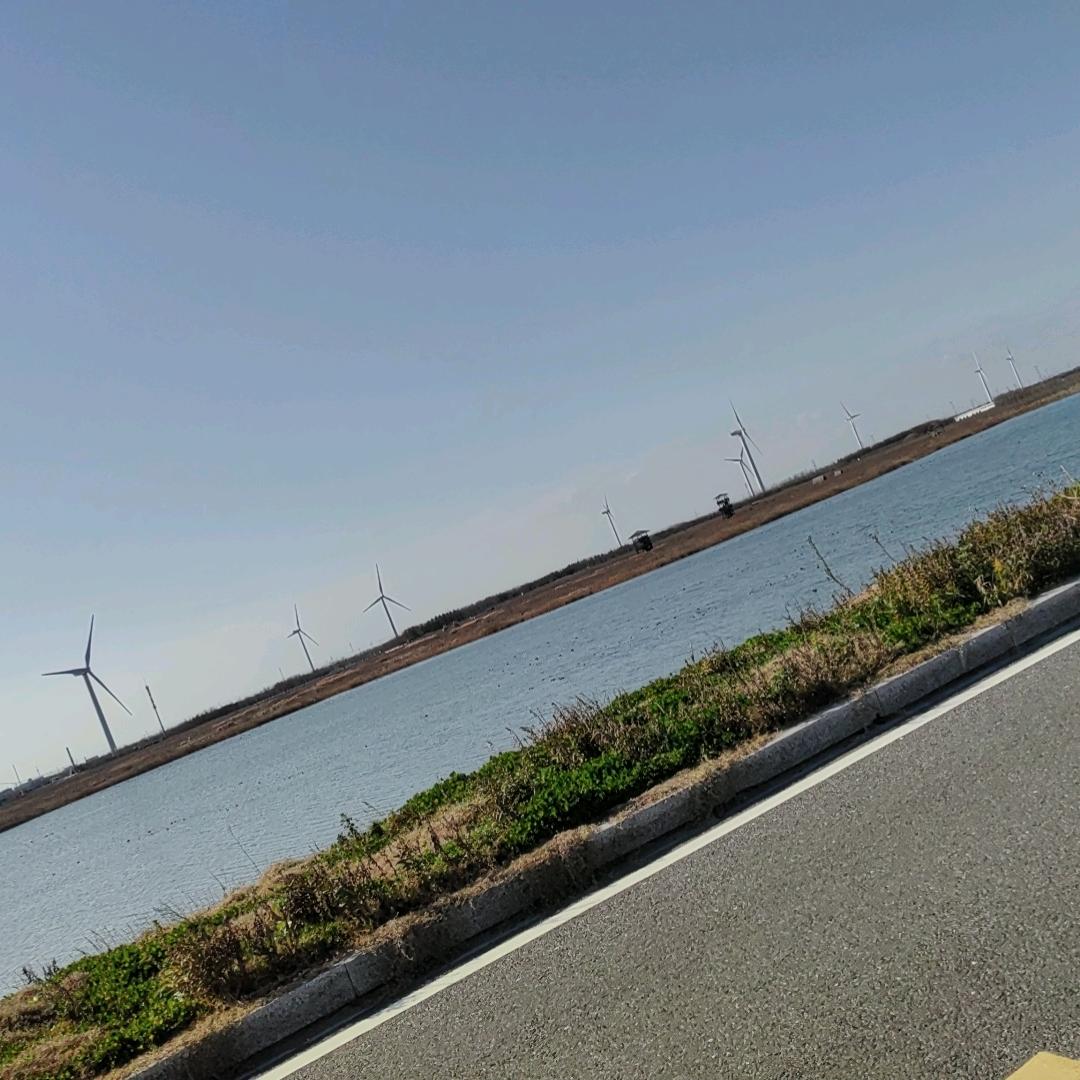 建健
