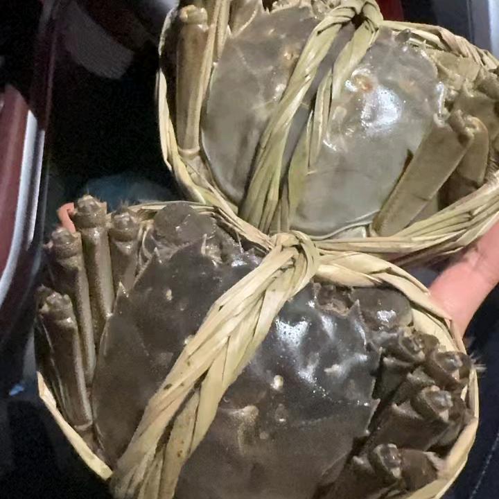 螃蟹丽