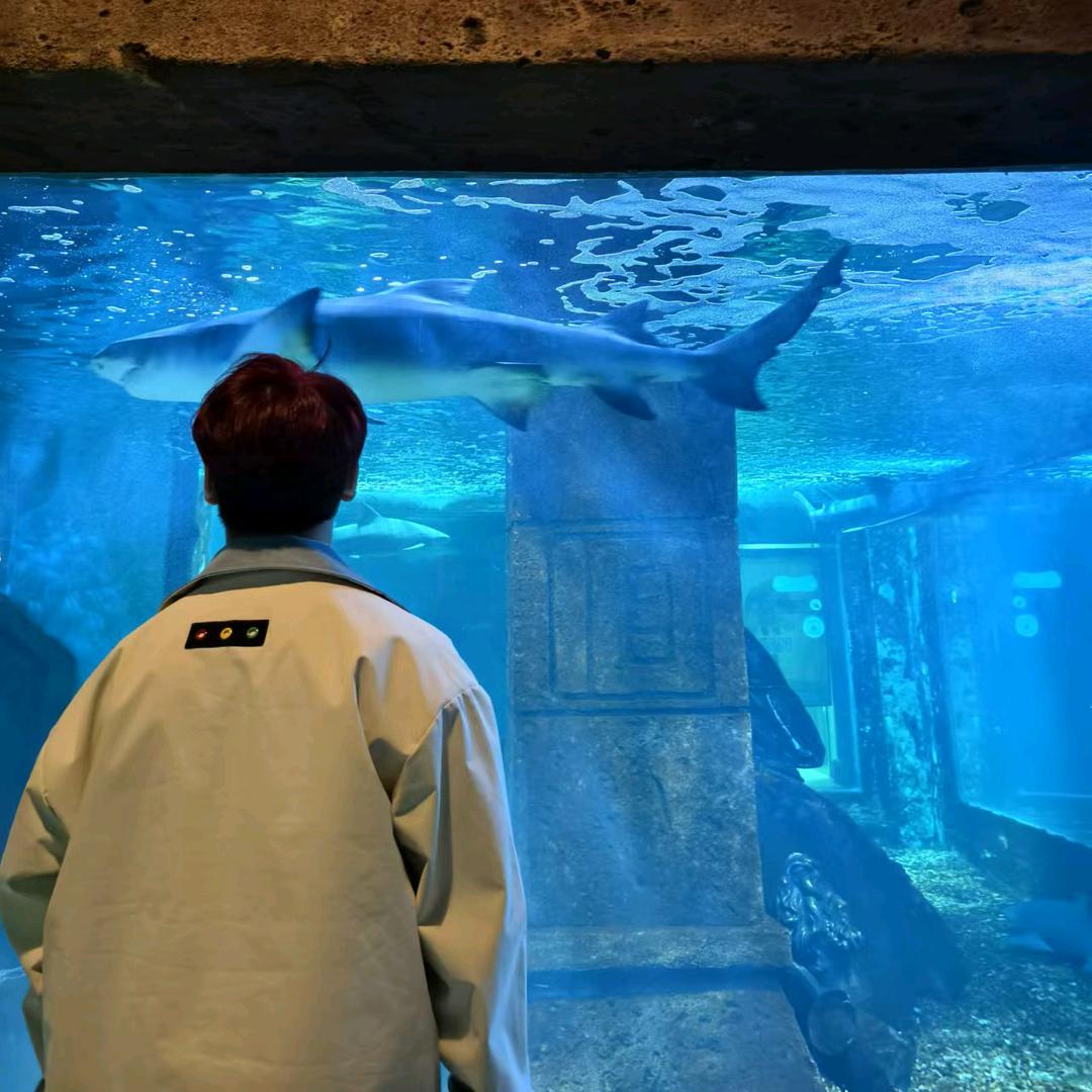 陈平安  🚶🏻‍♂️