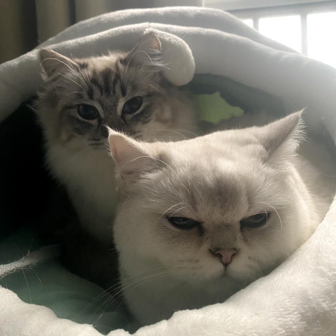 ～～