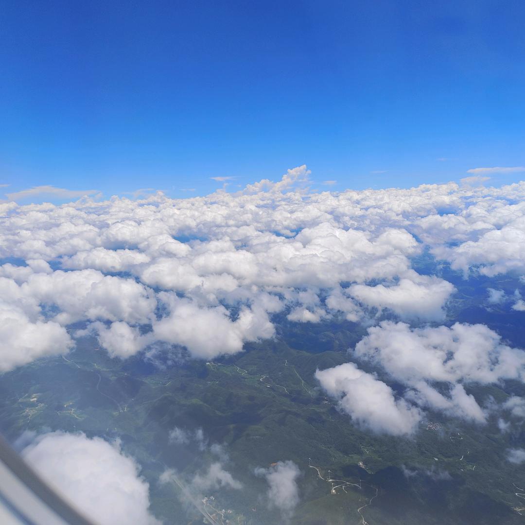 丹丹姐的生活超市