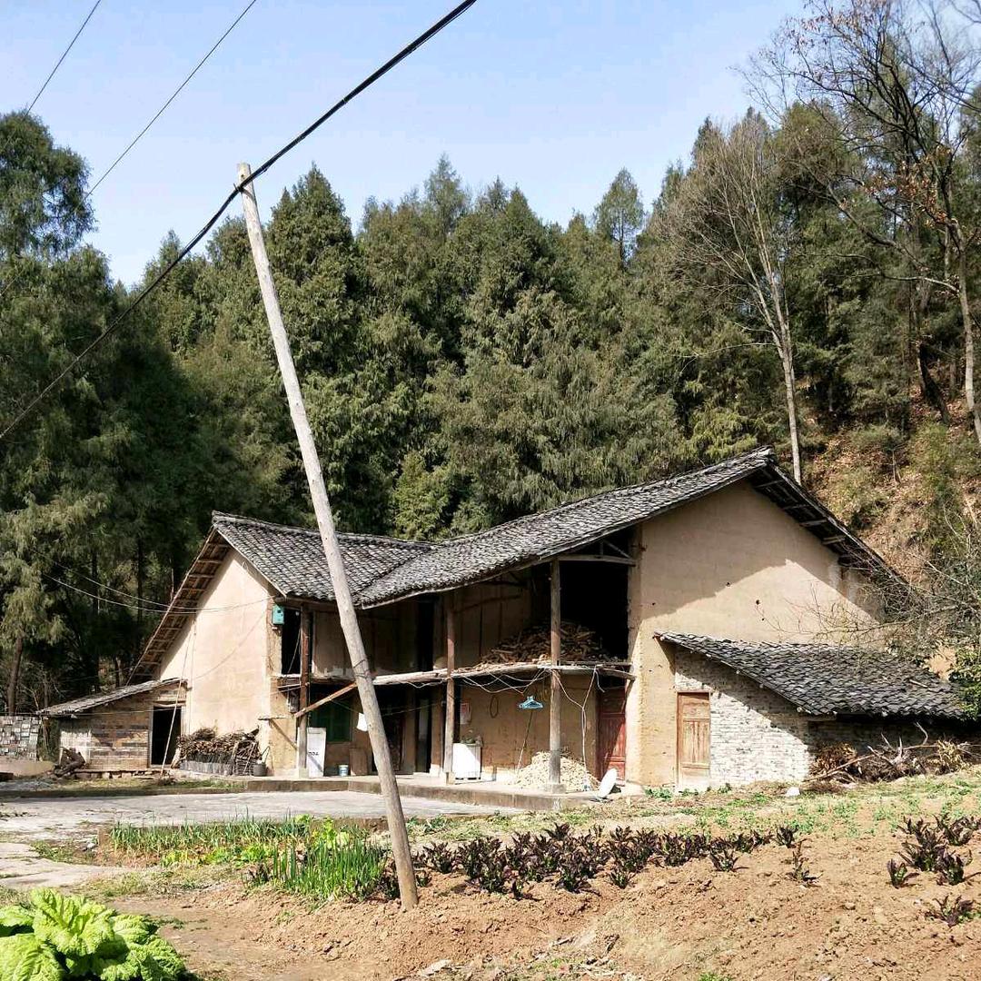 爱何求