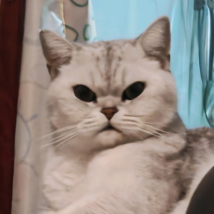 默默是个大暖男喵