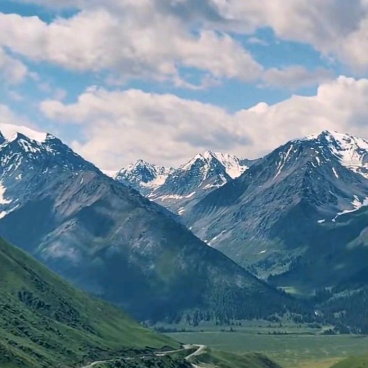 知心