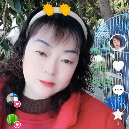 董红姐