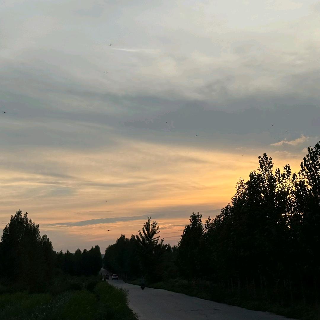 人间清醒
