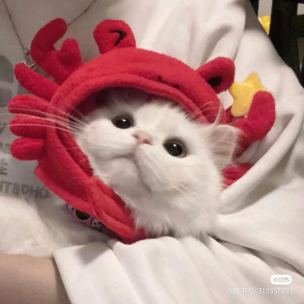 爱的收敛域为空