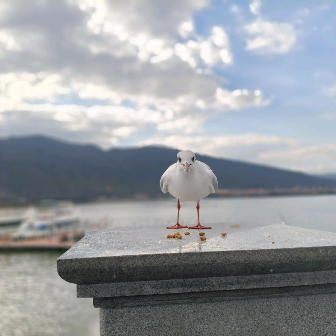 你若安好便是晴天