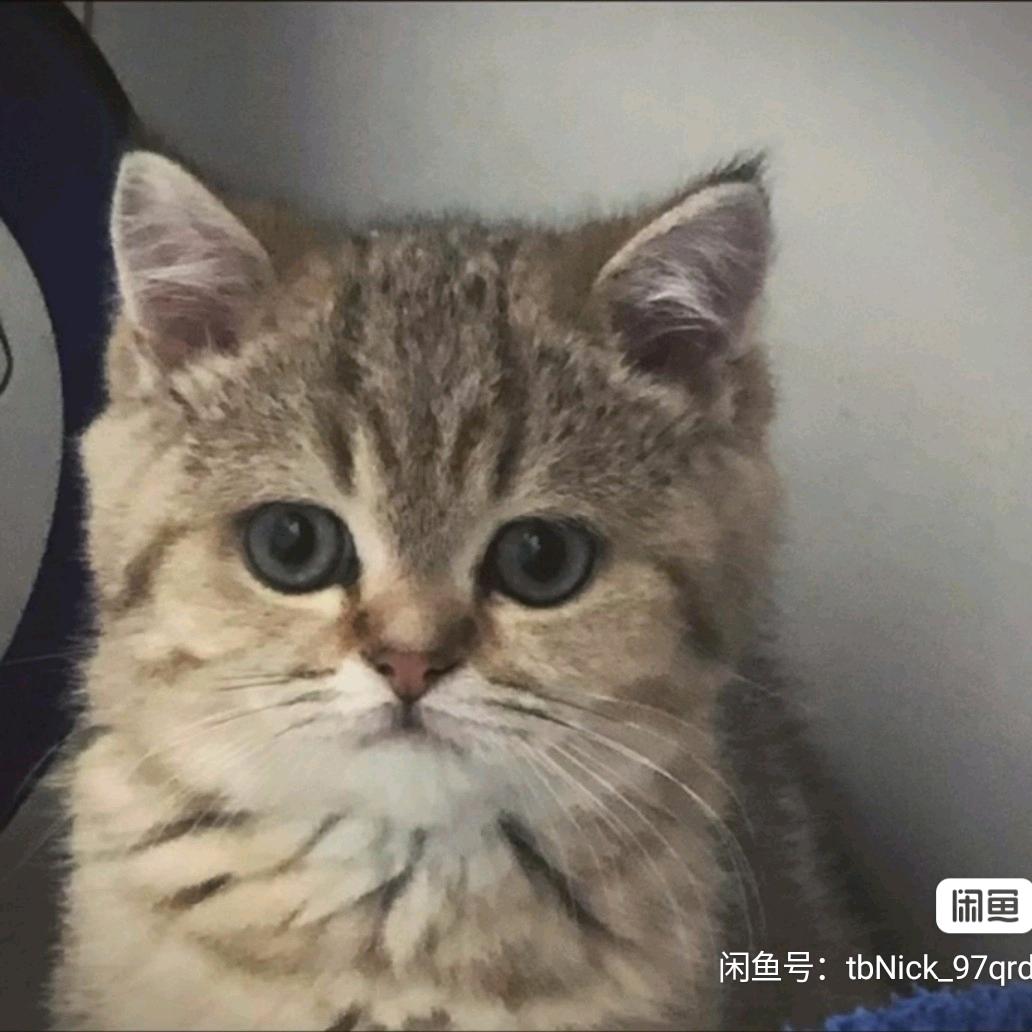 小旋风