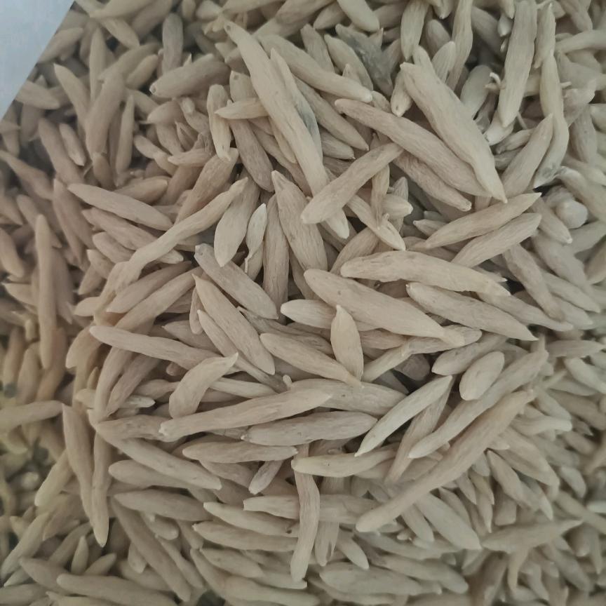 主营山麦冬高蕊