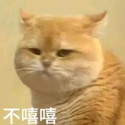 游隼文化 猫猫