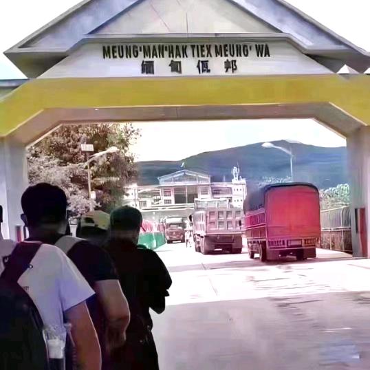 路狗