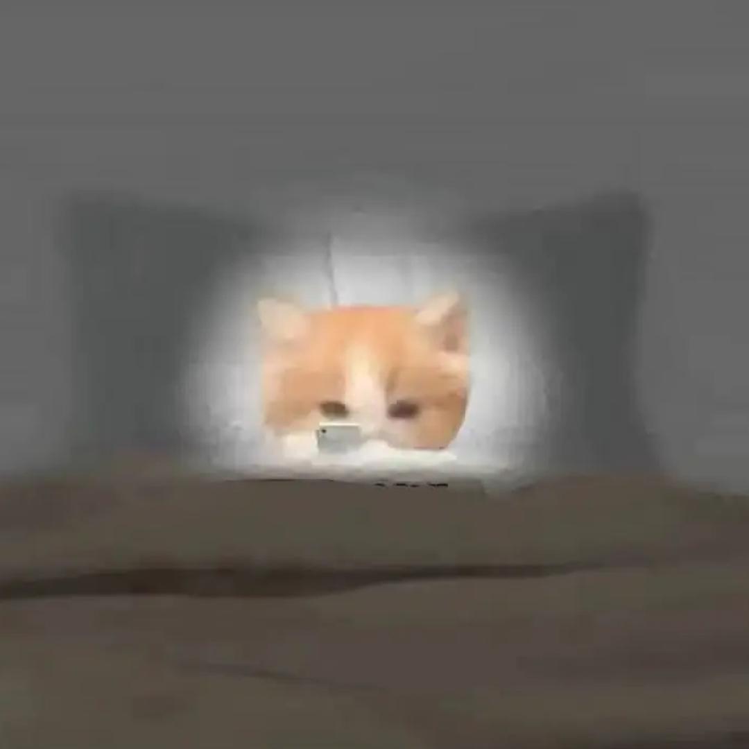 熬夜的me.