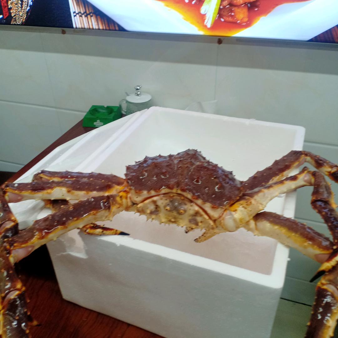 家和人旺九九同心