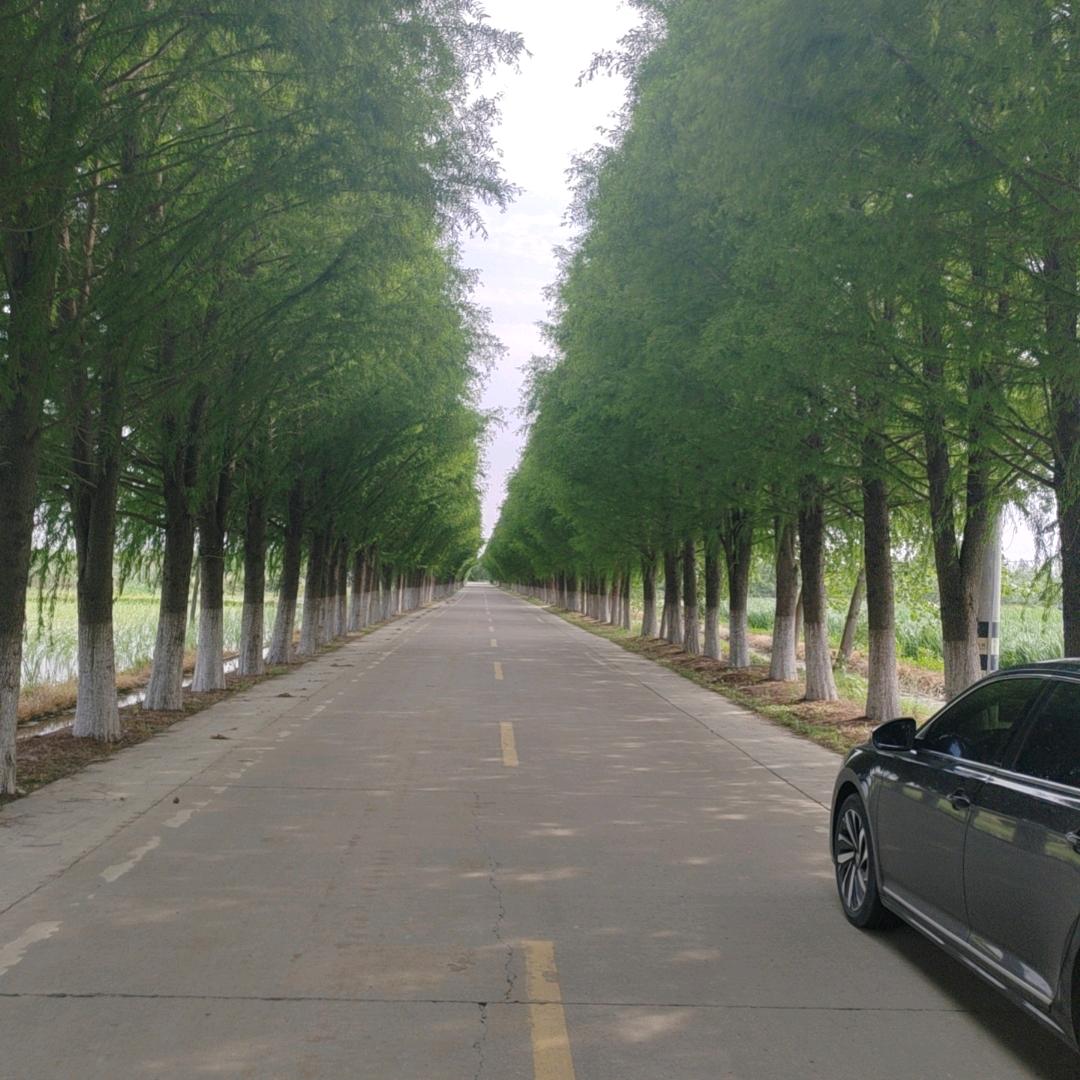 常年大量现货糠醛渣