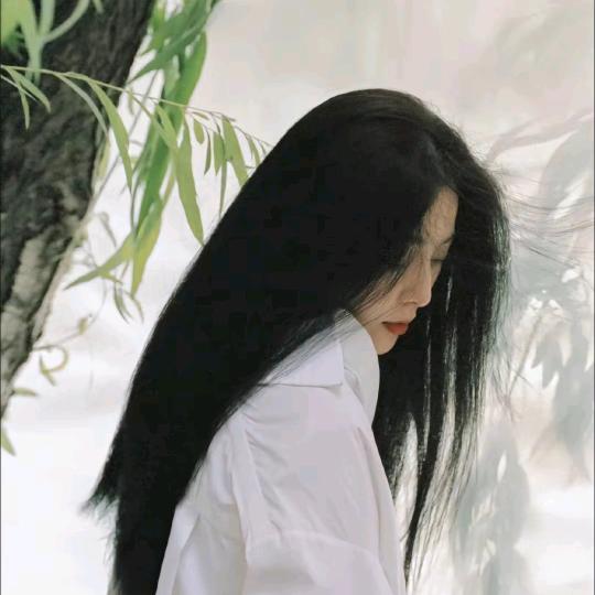 靠谱小狗