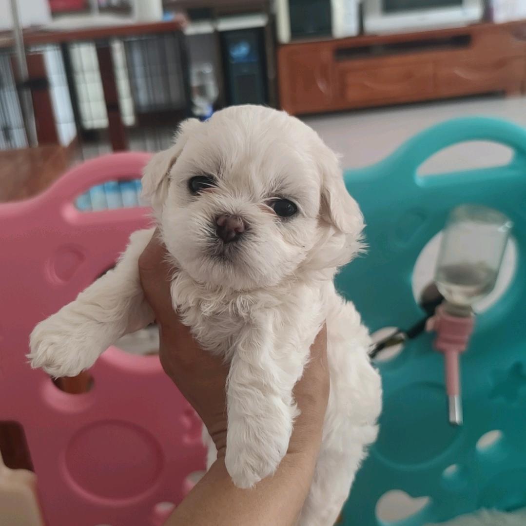 万发缘生苦乐随缘