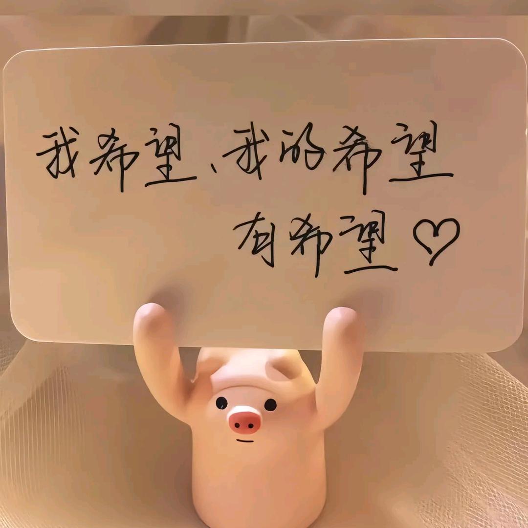 愿将来 胜过往