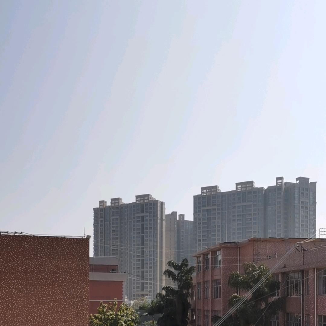 光光在广西（助农在行动）