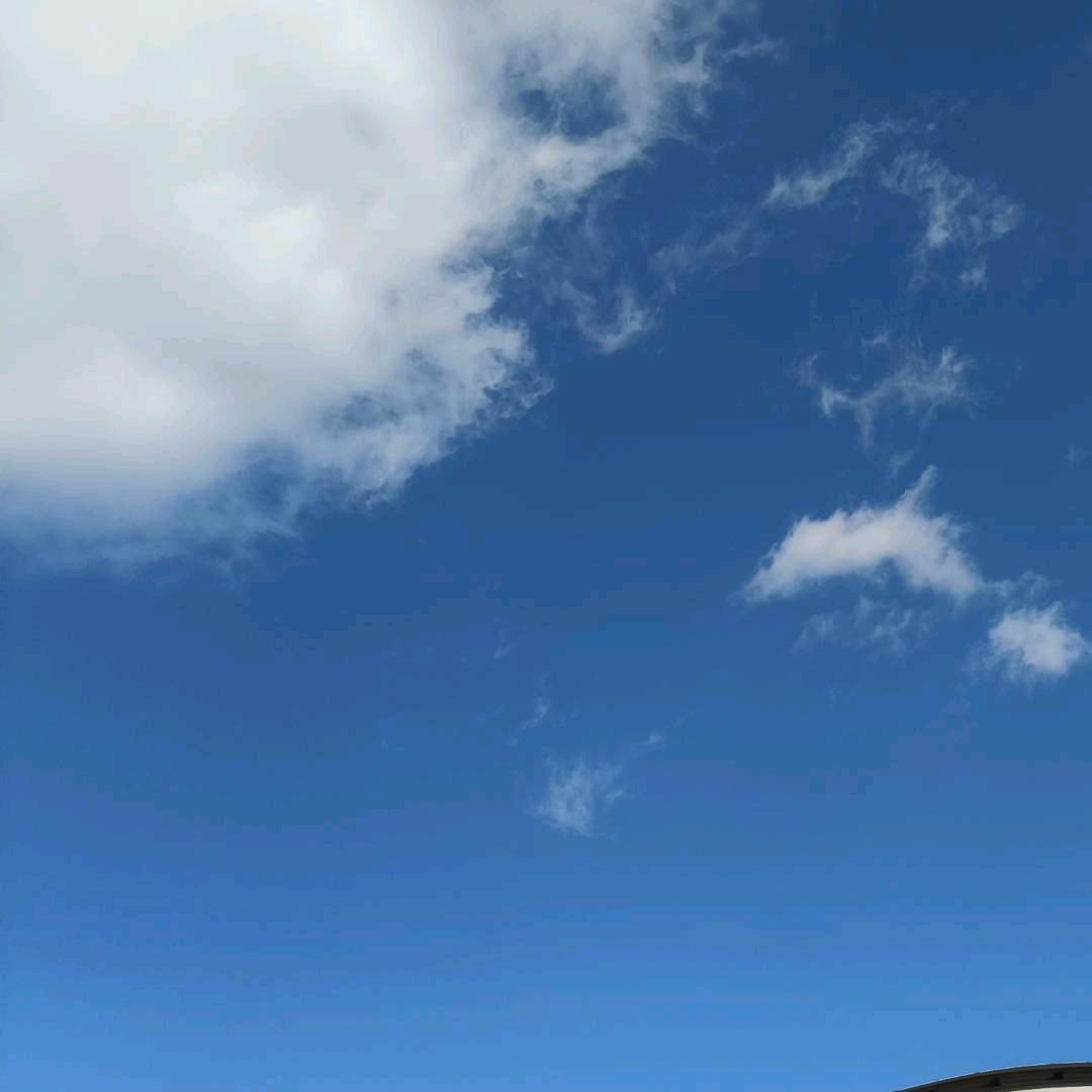心不在烟