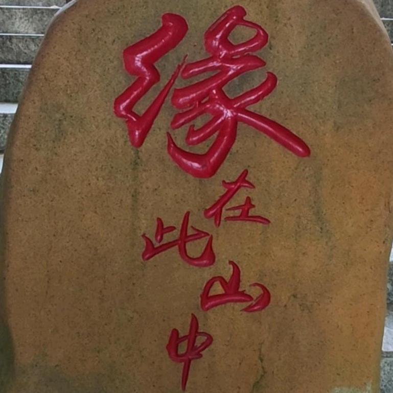 龙行天下@