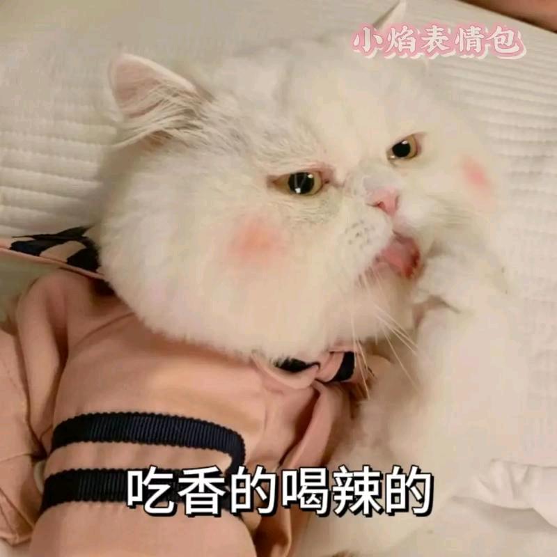 紫气东来💍