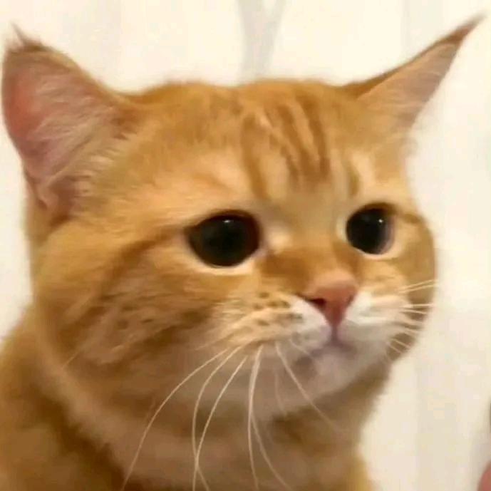 OoO头像