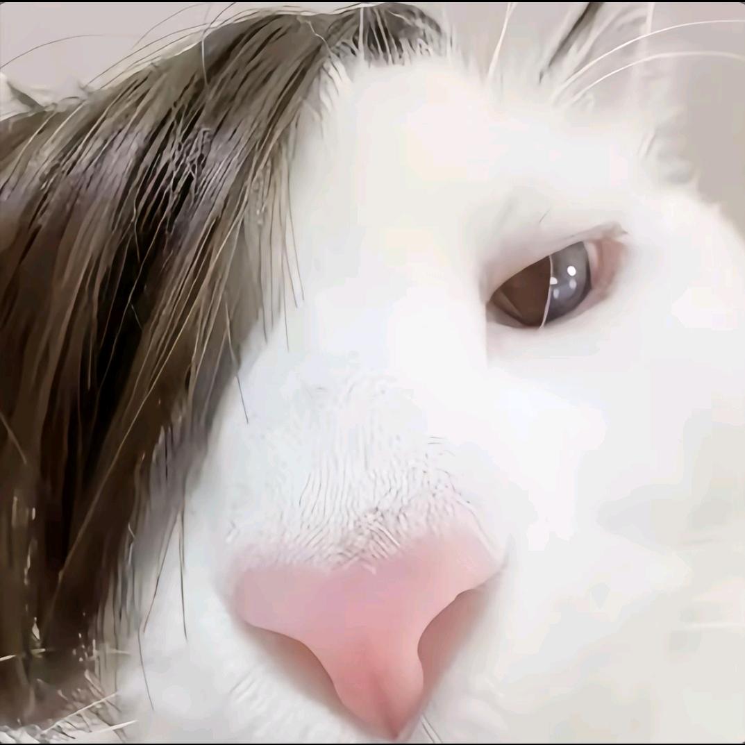 云君霄