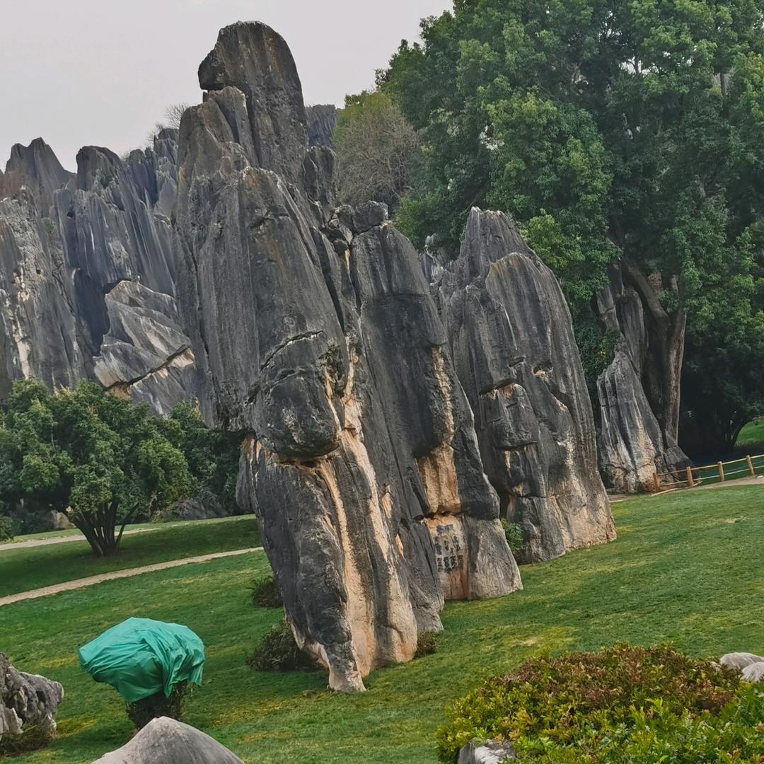 开开心心过好每一天…