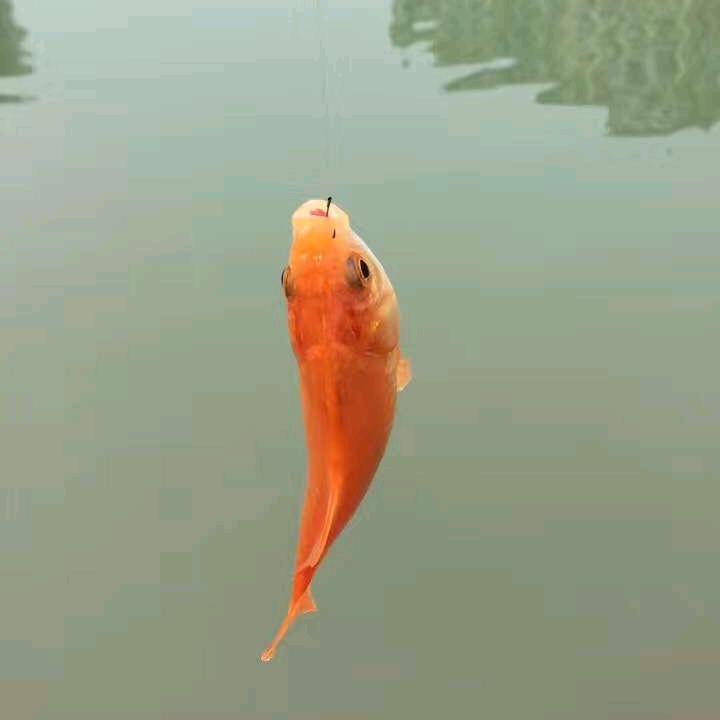 。。。。。。。。