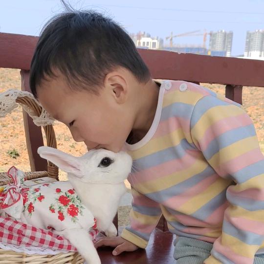 糖糖和兔兔