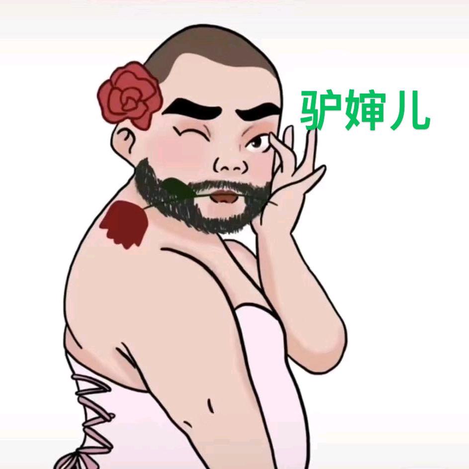毛 驴 子